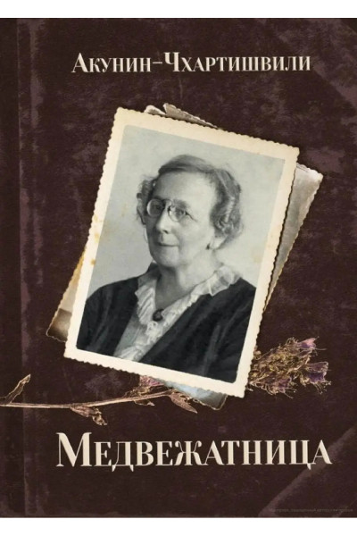 Медвежатница - Борис Акунин (мягкий)